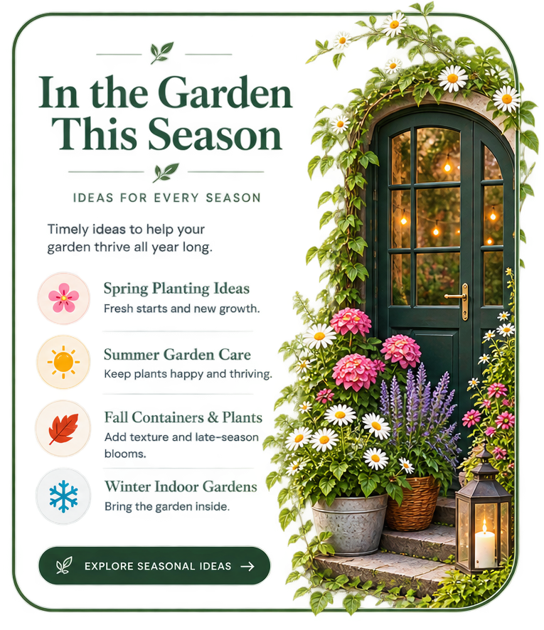 Seasonal small garden filled with colorful flowers, lush container plants, and greenery surrounding a charming garden entrance.