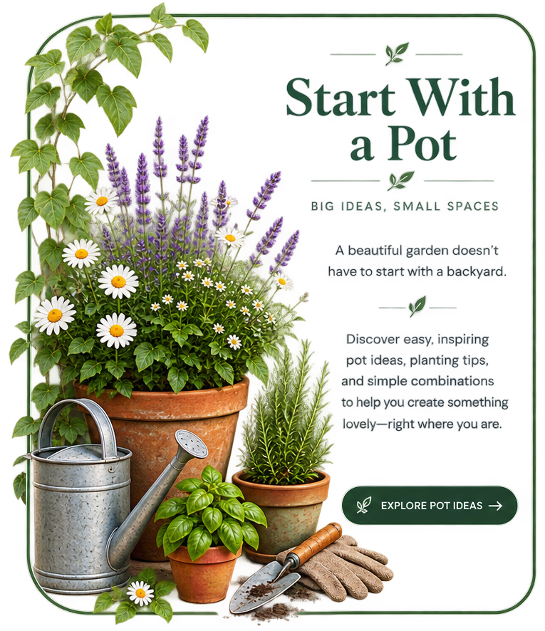 Small container garden with flowers and herbs growing in terracotta pots beside a watering can on a rustic garden bench.
